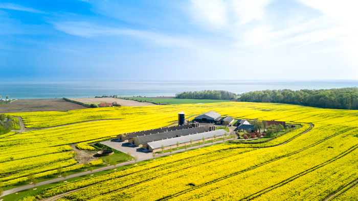 skovhave_landbrug_2024_1-kopier_web